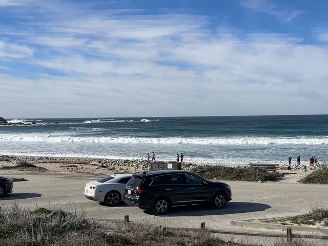 旧金山最美女司机